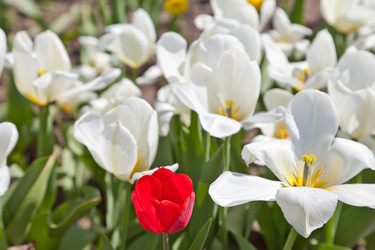 Similar image 637637