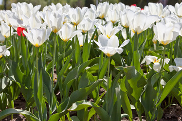 Similar image 637638