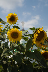 Similar image 637640