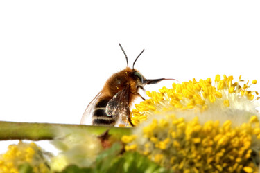 Similar image 637656