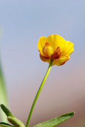 Similar image 637660