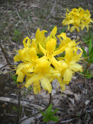 Similar image 637685