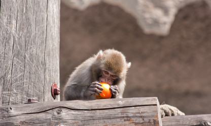 Similar image 637686