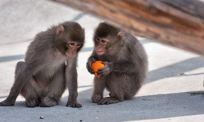 Similar image 637688