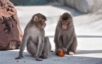 Similar image 637696