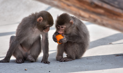 Similar image 637697