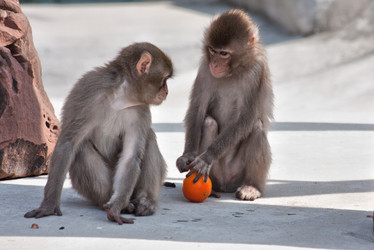 Similar image 637699