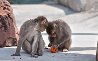 Similar image 637700