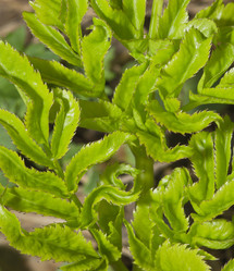 Similar image 637713