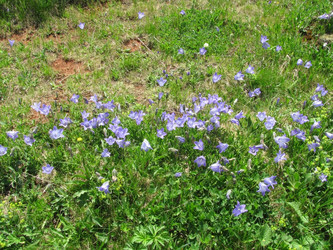 Similar image 637744