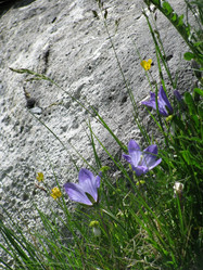 Similar image 637748