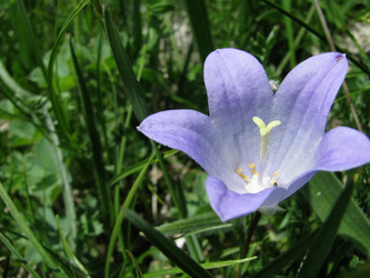 Similar image 637750