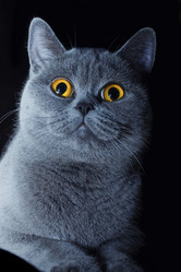 Similar image 637751