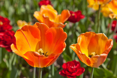 Similar image 637755