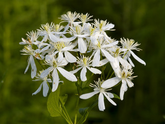 Similar image 637757