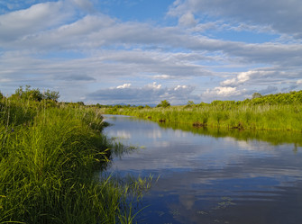 Similar image 637794