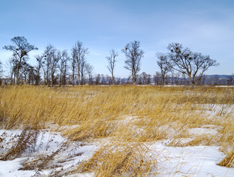 Similar image 637801