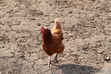 Similar image 637829