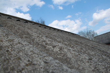 Similar image 637830