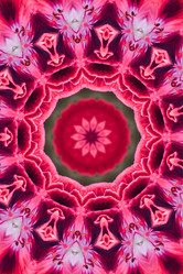 Similar image 637836