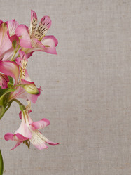 Similar image 637850