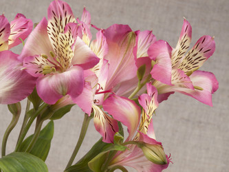 Similar image 637851