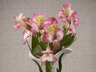 Similar image 637852