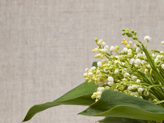 Similar image 637894