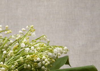 Similar image 637896