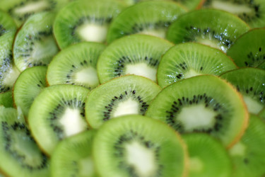 Similar image 637924