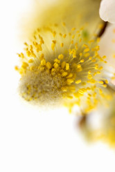 Similar image 638008