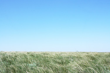 Similar image 638013