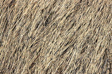 Similar image 638021