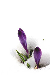 Similar image 638030