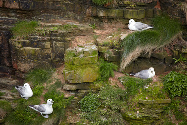 Similar image 638042