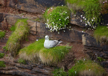 Similar image 638046