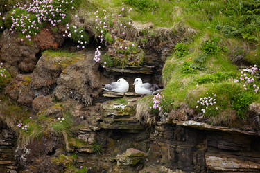 Similar image 638049