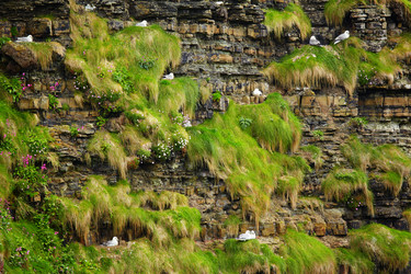 Similar image 638051