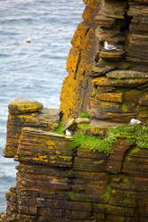 Similar image 638053