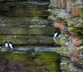 Similar image 638060