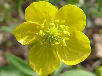 Similar image 638064