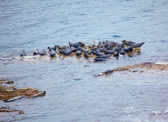 Similar image 638084