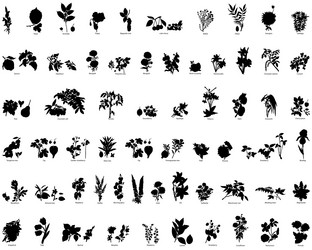 Similar image 638124