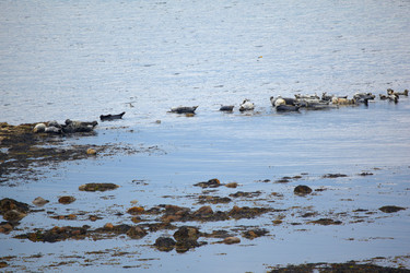 Similar image 638161