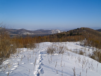 Similar image 638171