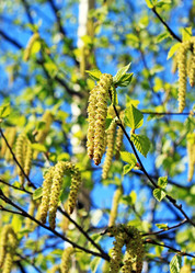 Similar image 638183