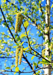 Similar image 638186