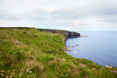 Similar image 638198