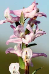 Similar image 638277