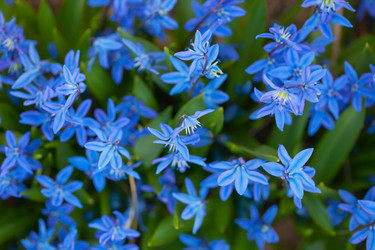 Similar image 638279